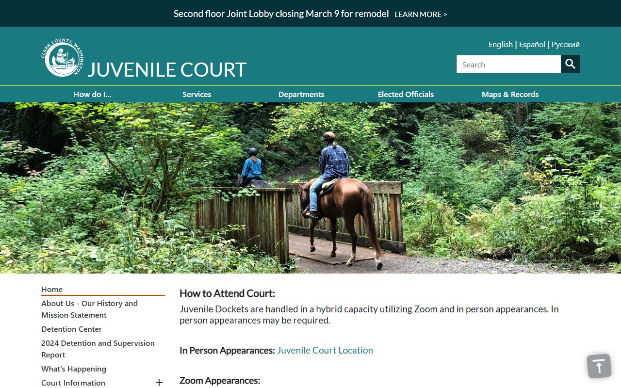 Clark County Juvenile Court court records information